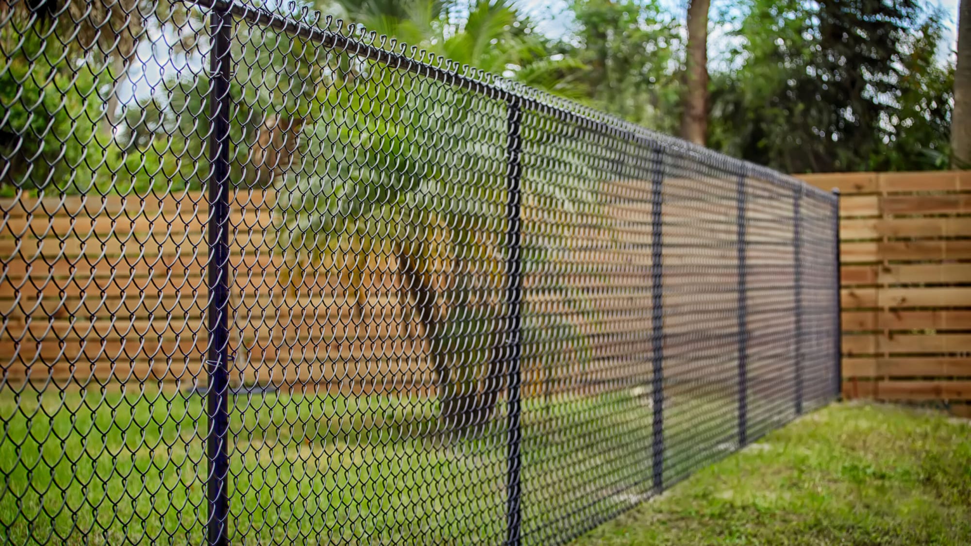 Black Chain Link Fence