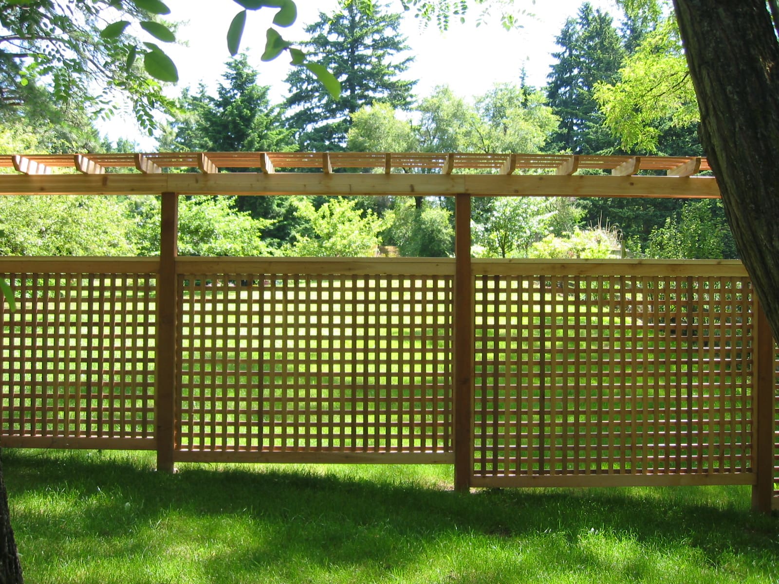 Lattice Panel with Trellis